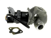 EGR-FR-005 AGR-Ventil NTY