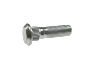KSP-NS-002 Sroub kola NTY