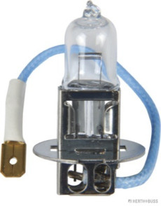 89901094 AP žárovka 12V 55W H3 PK22s 89901094 WHB